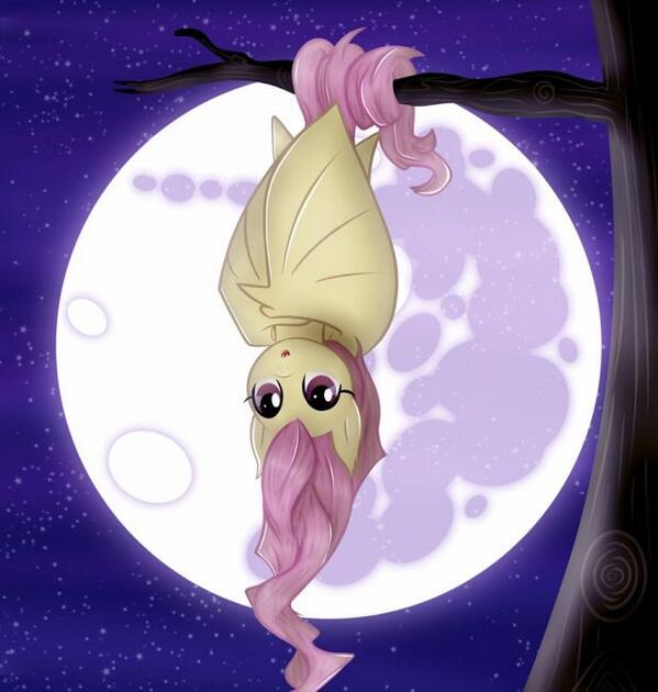 ZapAppleBloom's tweet image. She is the night! ^_^ #brony #FluttershyFriday