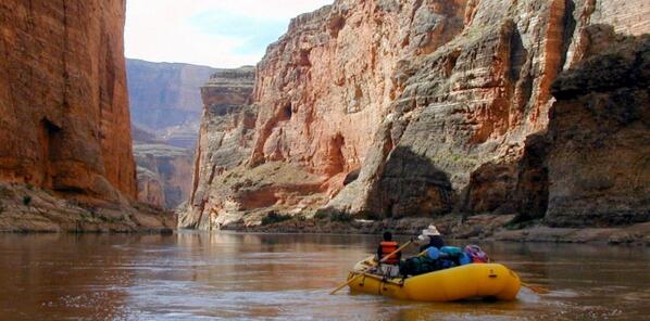 CheckLife tweet media