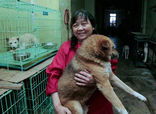 missioannou's tweet image. What a lady! ♥ #YangYuhua &amp;gt; usa.chinadaily.com.cn/china/2014-06/… Lets support her &amp;gt; asiaforanimals.com/yulin-dog-fest… #YulinGetDogsOffTheMenu