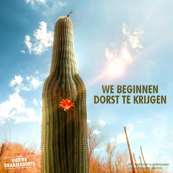 Kom maar op Mexico! #twelftal #nedmex