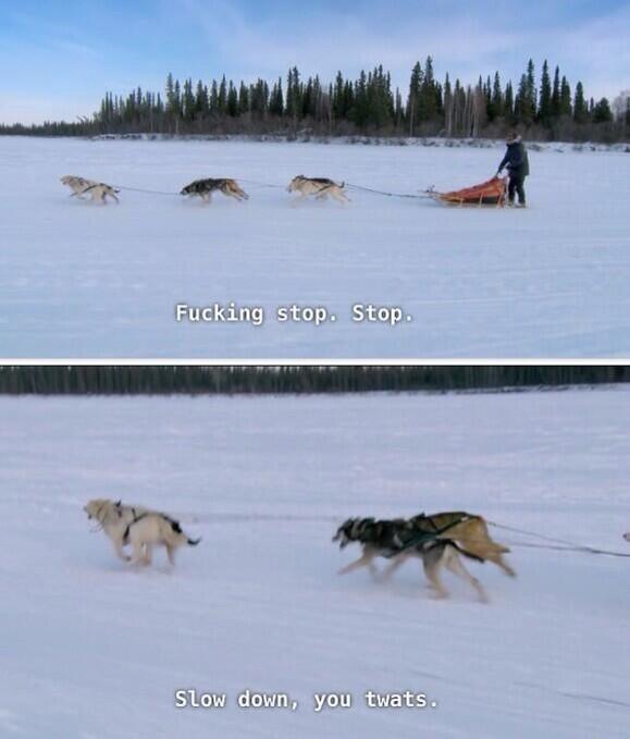 uneqceptable's tweet image. when ur bringing in horses at dinner time