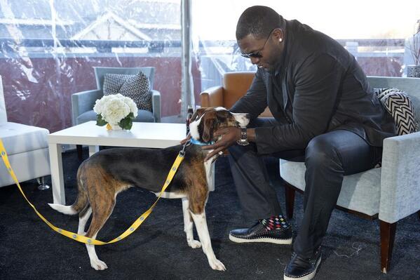 4 million dogs enter shelters each year and that’s why I’m working with <a href="/PedigreeUS/">PEDIGREE</a> to help shelter dogs. #ad