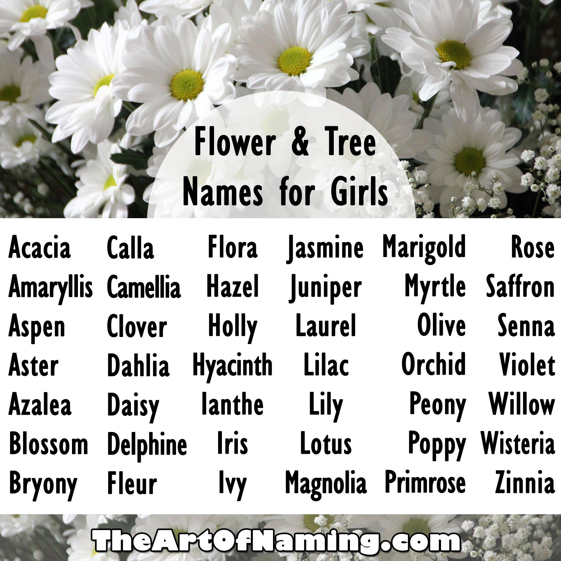 The Art of Naming a X: &ldquo;What is your favorite flower or tree name 