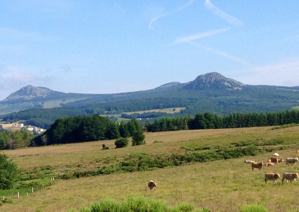 Permalien de l'image intégrée