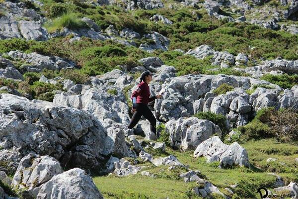 FEDOFA_VEN's tweet photo. Nuestra atleta TF Yaimar Campos en la Carrera de Orientacion en los Lagos de Covadonga. Tremendo entrenamiento!!!! http://t.co/vlvIV0FFkK