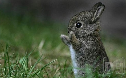 YO TENGO UNA CASITA ASÍ,Y ASÍ...