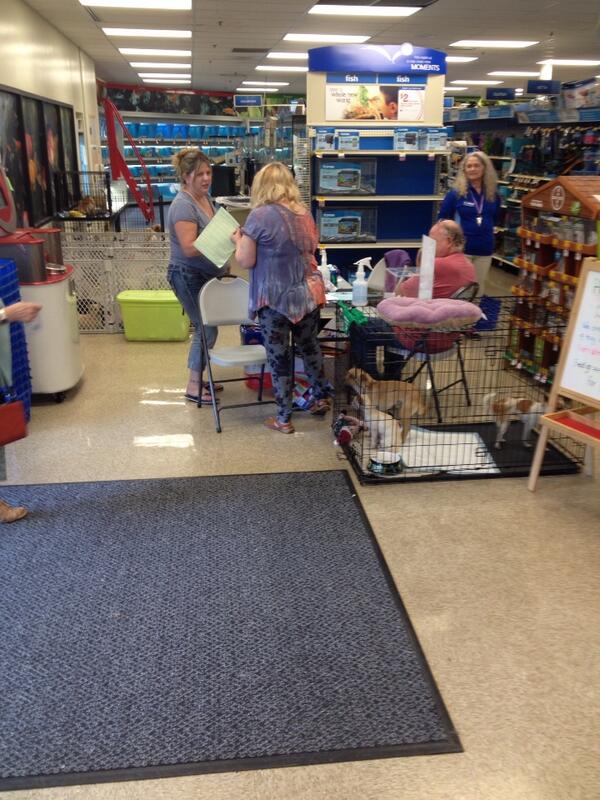 kdodd0386's tweet photo. Our mini adoption event means fun for all!  #inspiredbypets http://t.co/AZ636Qciiw