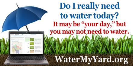 NTMWD's tweet image. Even if it is your day to water... do you really need to? Recommendations just for you at WaterMyYard.org!