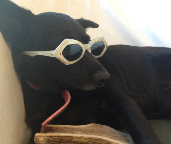 Lulu wears her vintage sunglasses well. Do you look as glam in yours? #NationalSunglasses Day
