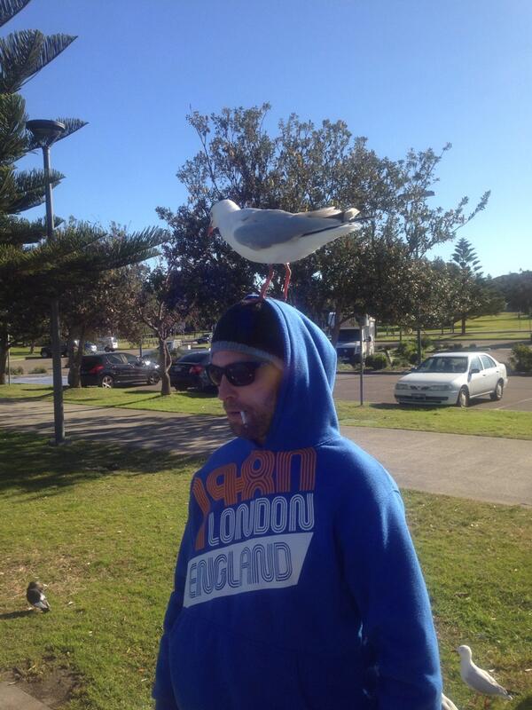 LeopardsealDan's tweet image. The seagull master....Ben Godwin maroubra