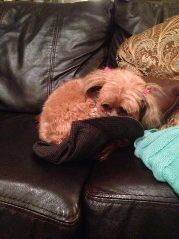 RyanOttley's tweet photo. GET OUT OF MY FRICKEN HAT!!! *throws dishes against wall* http://t.co/3ekJb25P5U