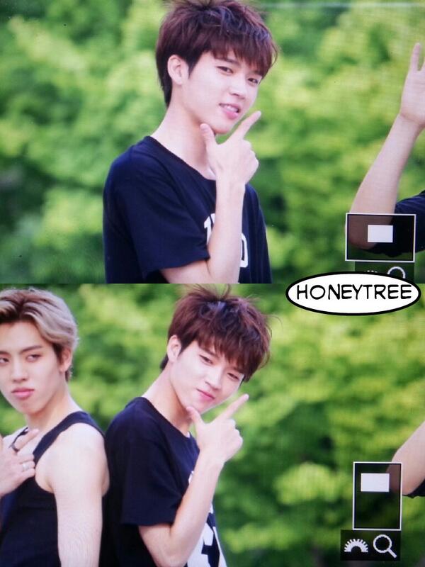 HONEYTREE tweet media