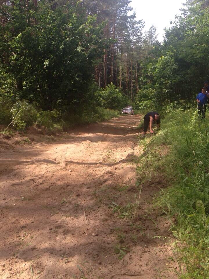 Obrázek