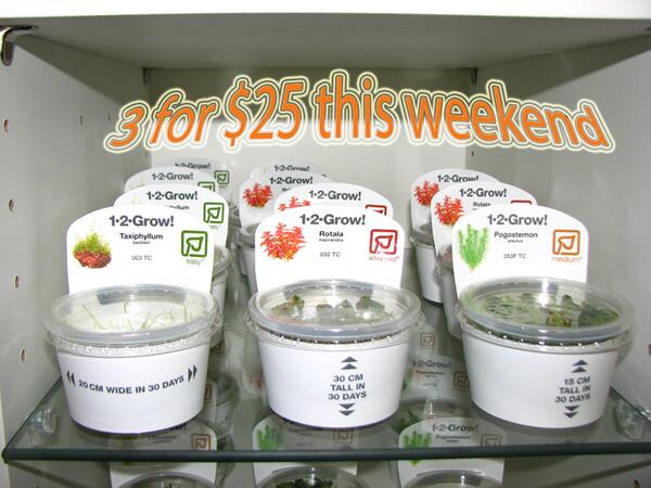 Menagerie Pet Shop All Tropica 1 2 Grow Tissue Cultured Plants Are 3 For 25 This Weekend Aquatic Plants Tropica Aquarium Http T Co Kmdd0dfzhm Menagerie Pet Shop All Tropica 1 2 Grow Tissue Cultured Plants Are 3 For 25 This Weekend Aquatic Plants Tropica Aquarium Http T Co Kmdd0dfzhm