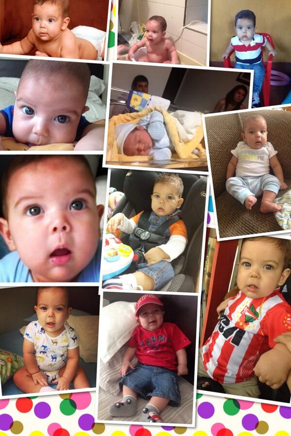 joisaq83's tweet photo. Nice collage! http://t.co/UhjnSOTRjg http://t.co/KGLJt9qPxX