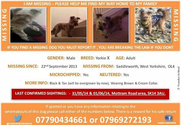 Harveysarmy1's tweet photo. @Small_lazydog #URGENT #MISSINGONEYEAR PLEASE FOLLOW &amp; HELP GET HUGO HOME BEFORE WINTER ARRIVES @HUGOMISSINGDOG http://t.co/9oMpGZRioM