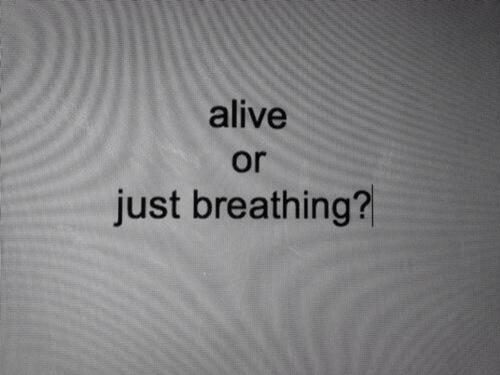 HighChapter's tweet image. 