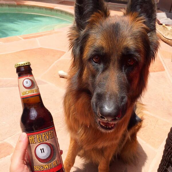 Native Brewing Co. tweet media