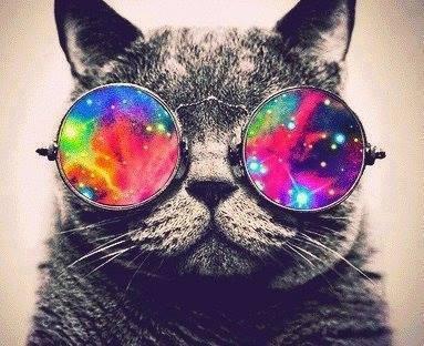 AlleeshaA's tweet photo. Summer is so boring http://t.co/BsgzUQTfsm
