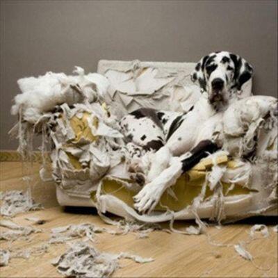 FootballFunnys's tweet photo. Luis Suarez right now.. http://t.co/frcIg15ucU