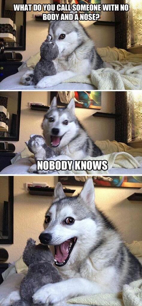 FreedomDogCare tweet picture