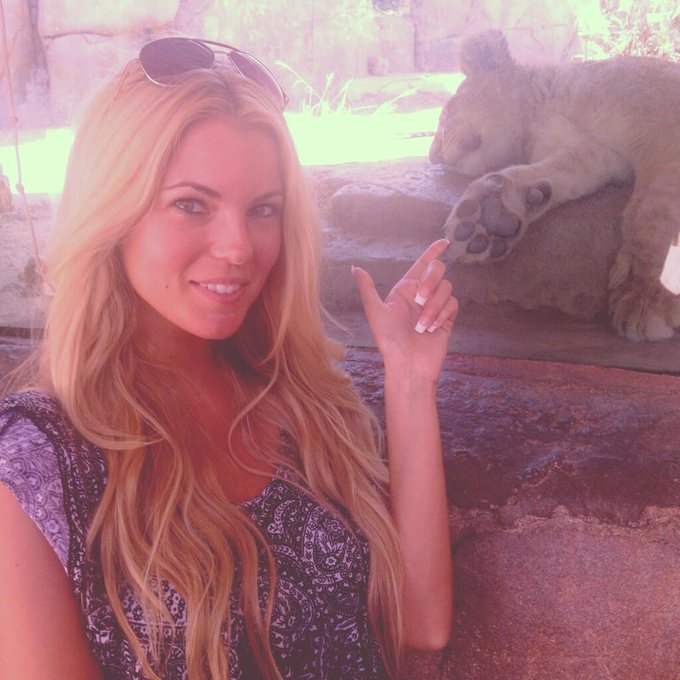 Simba!! @ the San Diego Zoo #lionsandtigersandbearsohmy http://t.co/CHN0zMN2Fw<a href="/tag/lionsandtigersandbearsohmy"class="tags">#lionsandtigersandbearsohmy</a>
