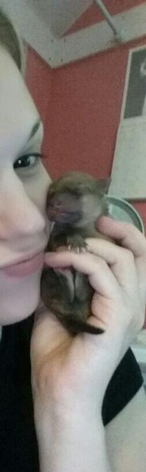 One of the pups #NoMakeup #NoSleep #DontJudgeMe http://t.co/HcT5IkDXBW<a href="/tag/nomakeup"class="tags">#NoMakeup</a><a href="/tag/nosleep"class="tags">#NoSleep</a><a href="/tag/dontjudgeme"class="tags">#DontJudgeMe</a>