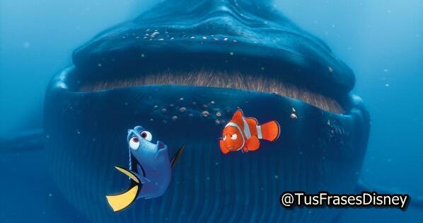 TuFraseDisney's tweet photo. RT Si aprendiste a hablar balleno gracias #BuscandoANemo http://t.co/jf6mN8ixQE