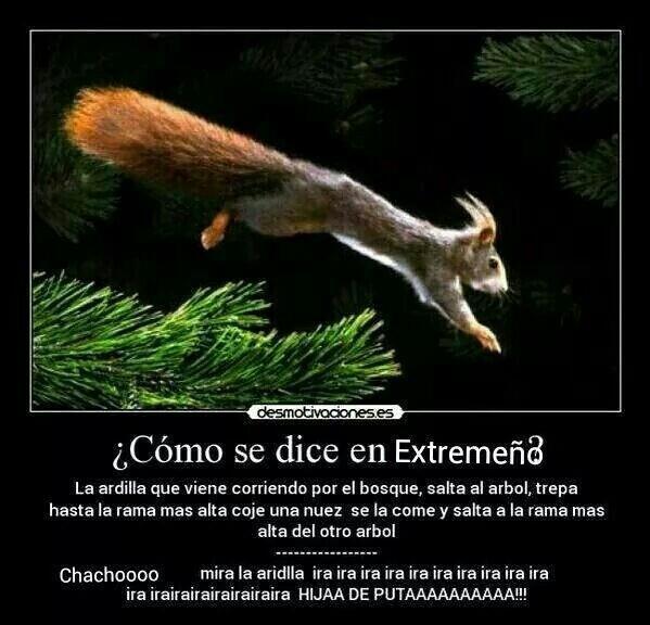 DiccExtremeno's tweet photo. http://t.co/YyLYrFW61u