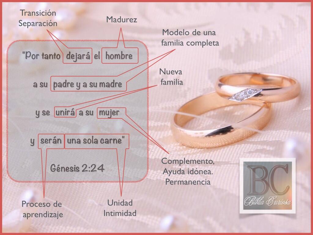 Curiosidades Biblia on Twitter: 