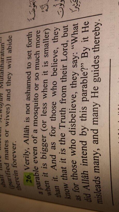 EcoQuraan's tweet image. #Baqarah
#ecoCreator
#ecoprocess
#ecocommand
#greenaayaat #greenآيات
#quraan