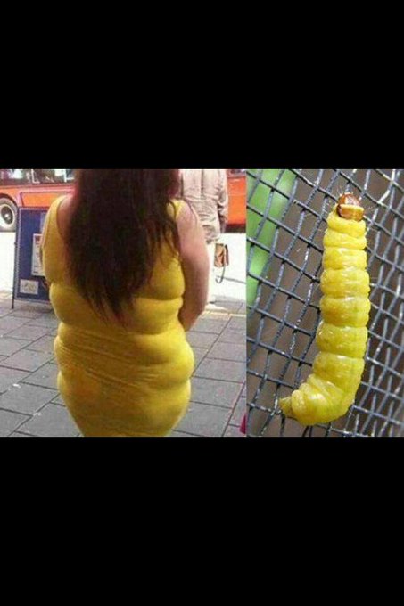 😂😂😂ooo that's tuff http://t.co/VHmiTbjQTU<a href="/tag/oomf"class="tags"><span>#oomf</span></a>