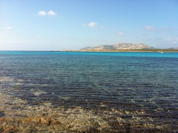 qiubiano's tweet photo. Tomorrow I'm going to return home.
Hope everything goes well with Dinamo people! http://t.co/DjhWH6Ve1F