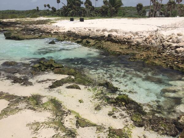 Tulum!! Cantando y disfrutando!! #showtime