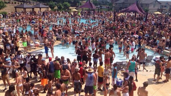 Neechi 👑 tweet media