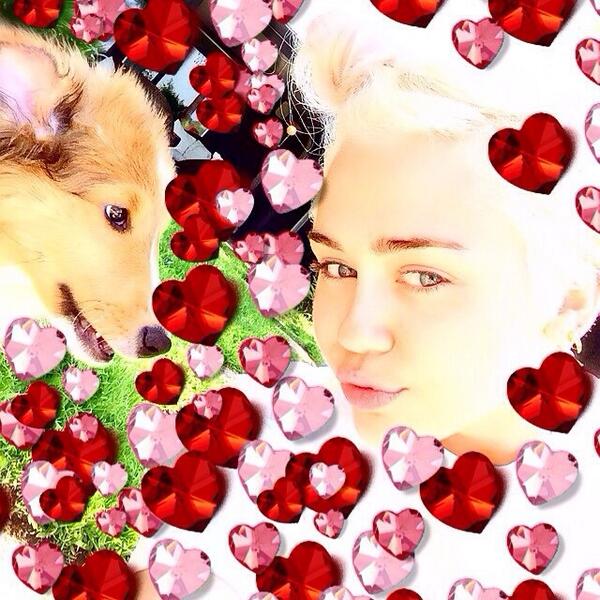 TheRealEmuCyrus's tweet photo. Thank you for all the love and acceptance. We are sure to make this beautiful woman keep smiling @MileyCyrus http://t.co/xlLJfdTMjg