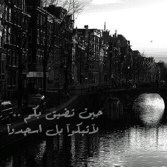 dyy2014 tweet picture