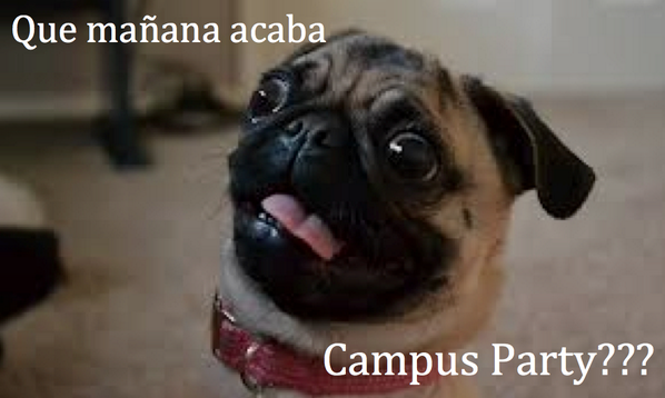 dashmauuu's tweet photo. triste mil!!! =‘(   #CPMX5 @GoDaddy http://t.co/97maTcMDdc
