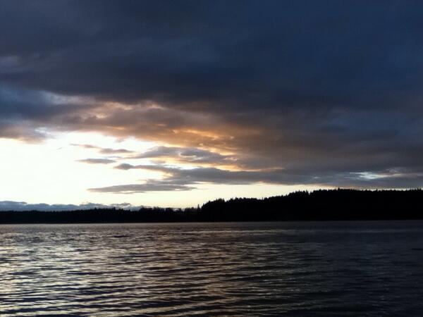 steempowered's tweet image. Good night