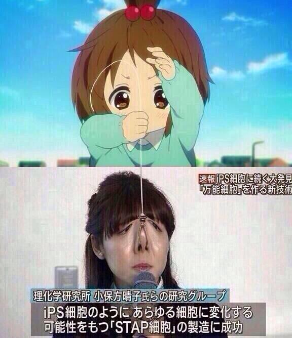 小保方晴子クラスタと繋がりたい Twitter Search Twitter