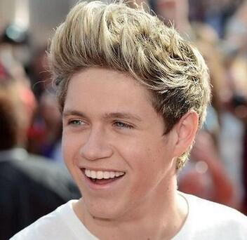 RT_orFave's tweet photo. Who's better? 
RT for Niall Horan
Fave for Demi Lovato http://t.co/0mAwDVOdOu