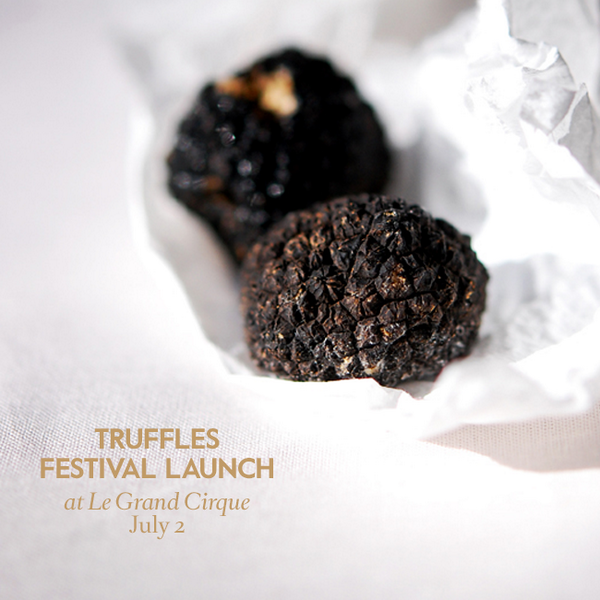 We're hosting the <a href="/TruffleMelb/">Truffle Melbourne</a> launch this week. Five courses, $175. For bookings call 03 9207 7421