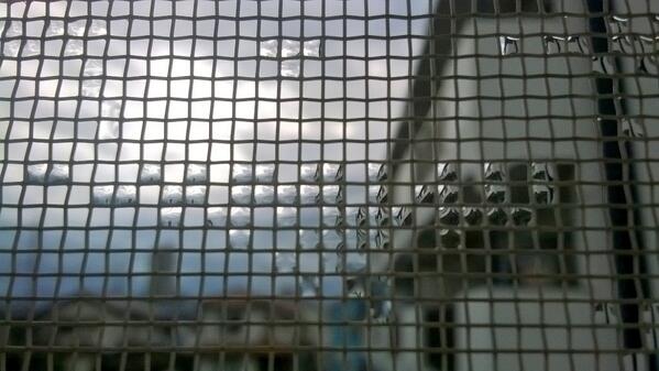 james_bruce_may's tweet photo. After the storm - rain caught in the insect screen - http://t.co/AlrzPgY09Z