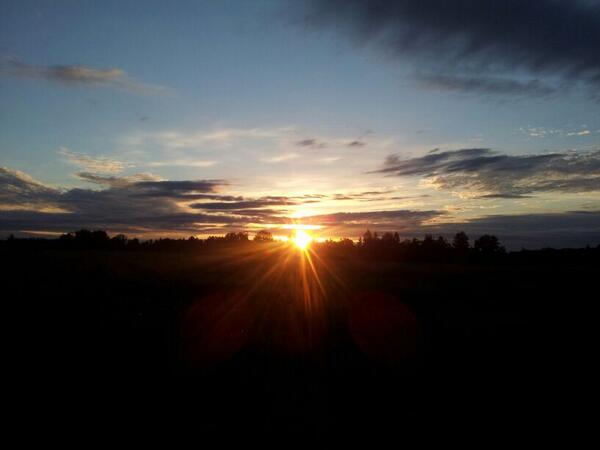 Savitriji tweet media