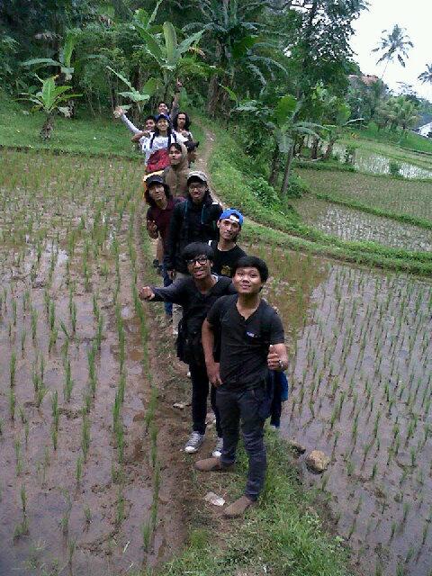WmF tweet media