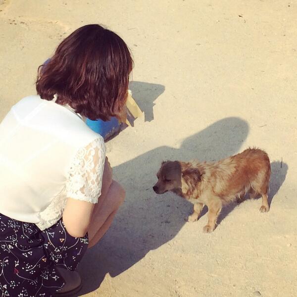 xoxoaiko_'s tweet photo. かわいいわんこに会えた！昨日！この子、ベビー犬たちがお腹に入ってるーて😆 んー💕可愛かったなぁぁぁ…❤︎ http://t.co/cZAJUp0fy0