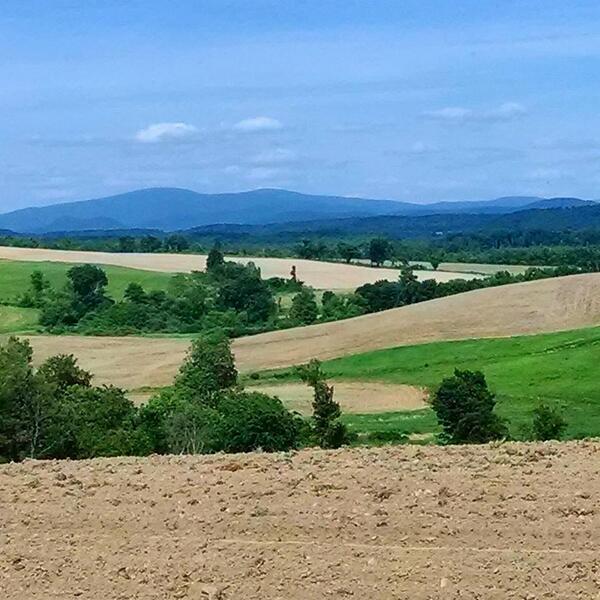 NYAnimalAg's tweet image. Dairy Farm Fact #29: 
Technology is important on a modern farm, but without land, there is no farm. #protectfarmland