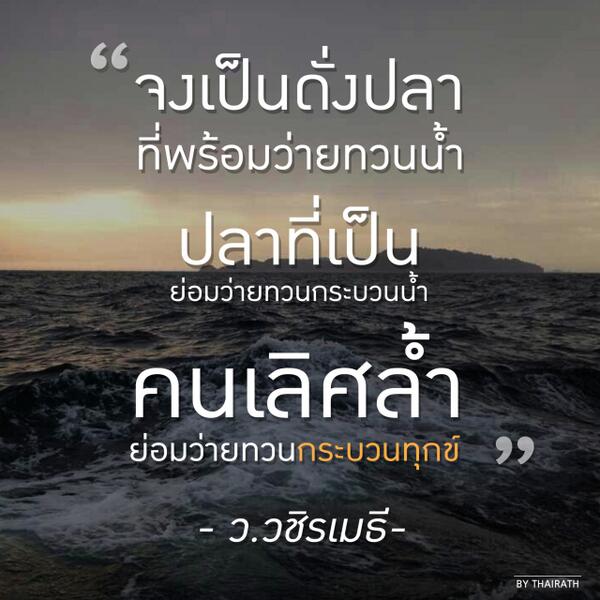 รูปภาพที่เกี่ยวข้อง