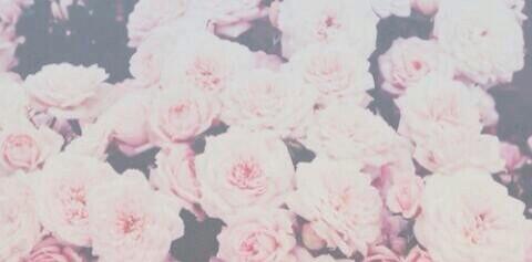 Cute Header 可愛い ヘッダー 保存の際はrt Http T Co Oedyev2evw Twitter