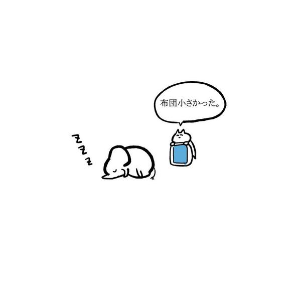 Studyさんイラスト集 寝る象 T Co 0eoe7qnlvj Studyさんイラスト集 寝る象 T Co 0eoe7qnlvj